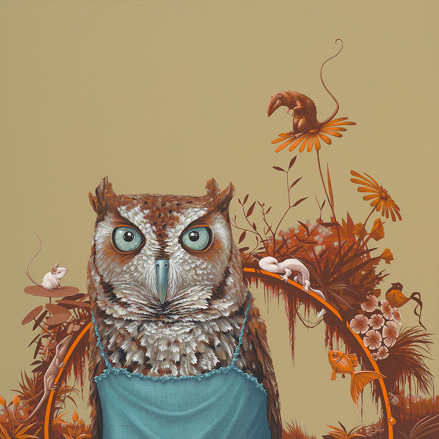 Owl Painting - Northern Screech Owl by Jasper Oostland