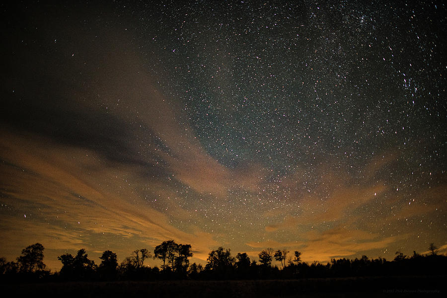 Northern Sky at Night Photograph by Phil Abrams