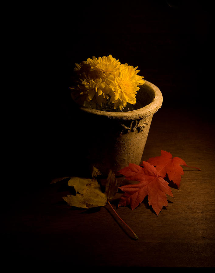 Northern Still Life Photograph by Levin Rodriguez
