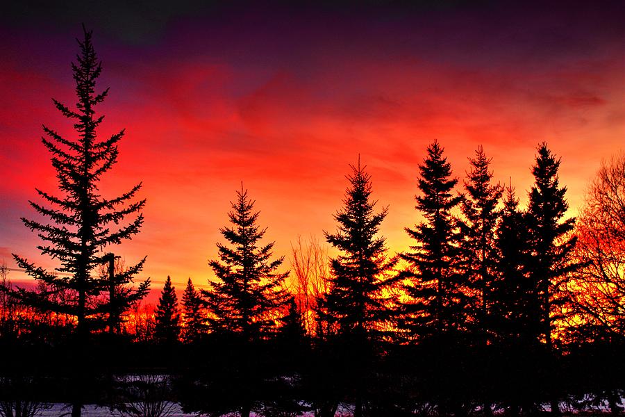 Northern sunset last light  Photograph by David Matthews