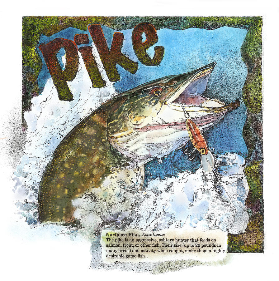 Northerrn Pike Painting by John Dyess