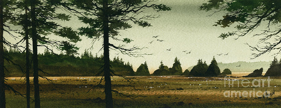 Northwest Coast Tidelands Painting by James Williamson