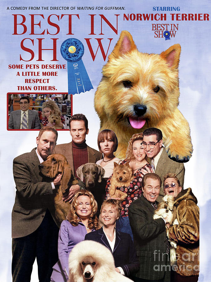 Dog Painting - Norwich Terrier Art Canvas Print - Best in Show Movie Poster by Sandra Sij