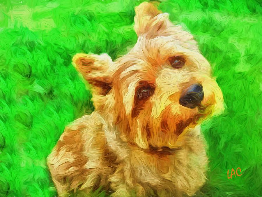 Norwich Terrier Painting by Doggy Lips