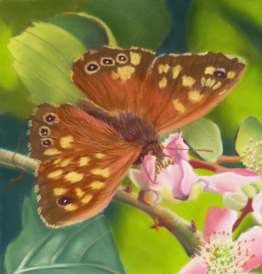 Butterfly Painting - Nose in Rose by Tammy Crawford
