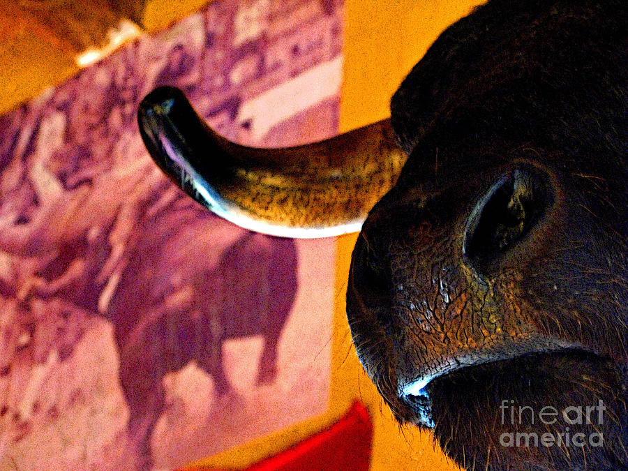 Bull Photograph - Nose of the Bull by Mexicolors Art Photography