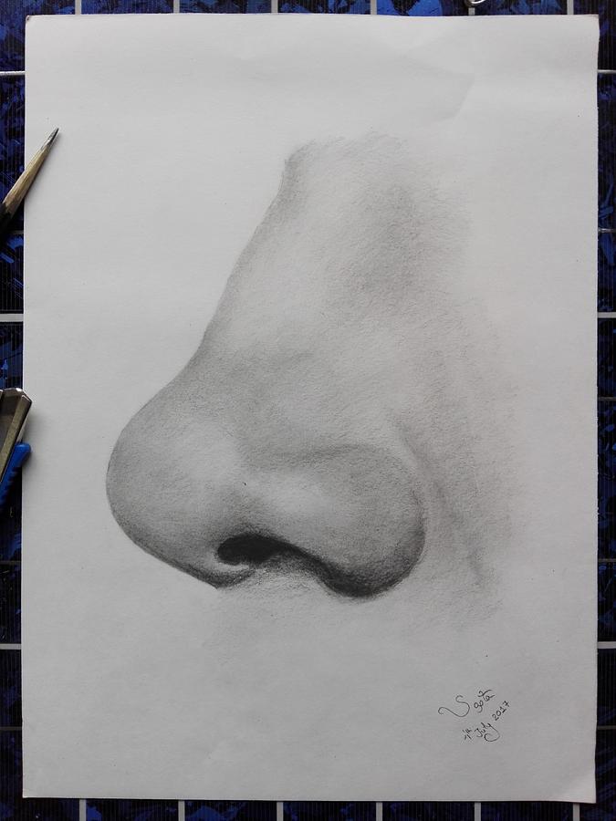 Nose Drawing by Sapta Raj Bajracharya - Fine Art America