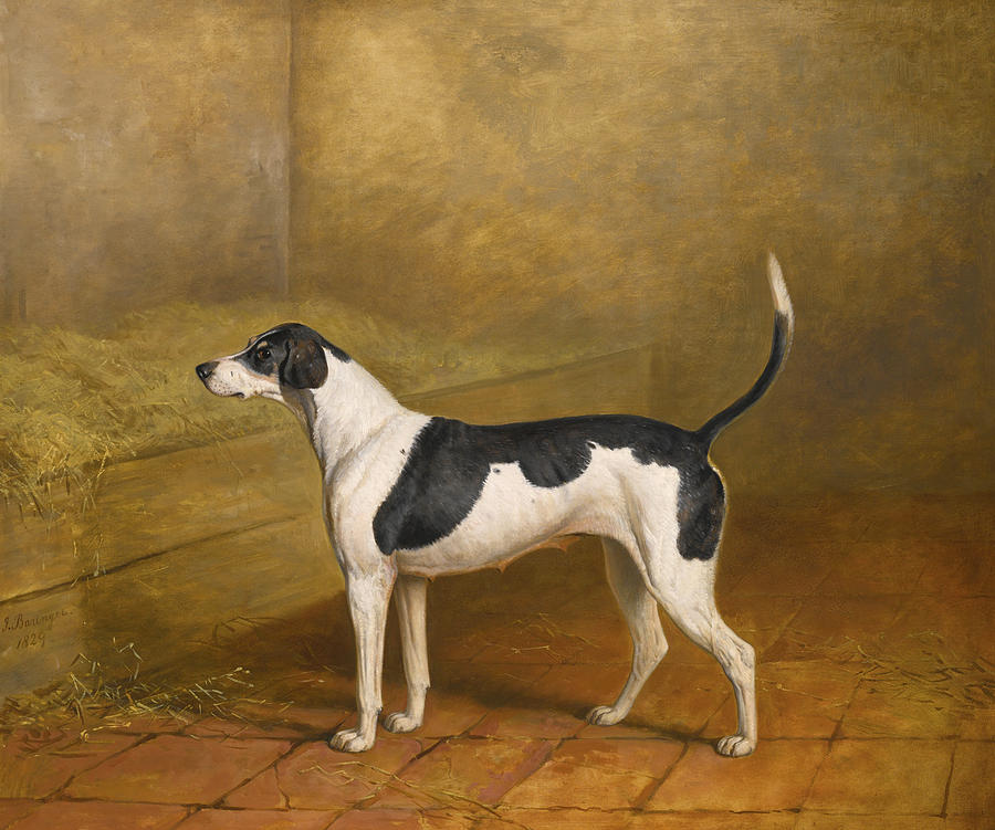  Nosegay a hound bitch in a kennel Painting by James Barenger