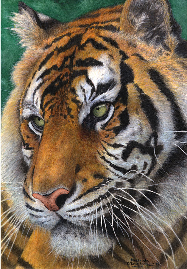 Tiger Painting - Nostalgia by Brad Carraway