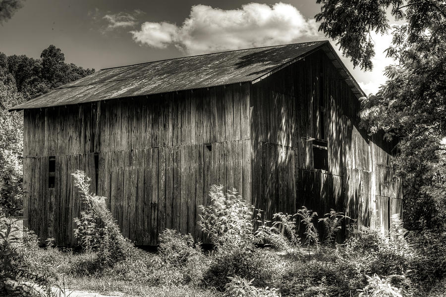 Nostalgic Barn Photograph by Douglas Barnett