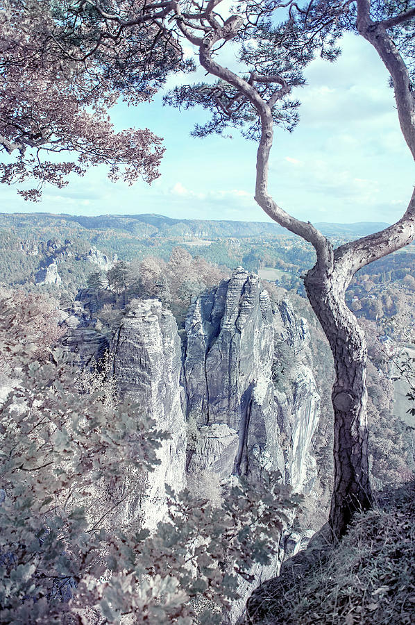 Nature Photograph - Nostalgic Romantic. Saxon Switzerland by Jenny Rainbow
