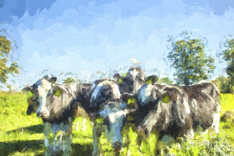 Nosy cows Digital Art by Patricia Hofmeester