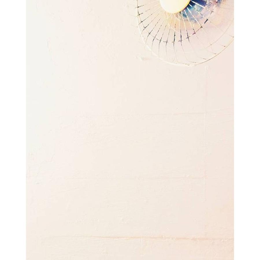 Abstract Photograph - Not A Fan.

#fan #thursdaythoughts by Its Taleeey