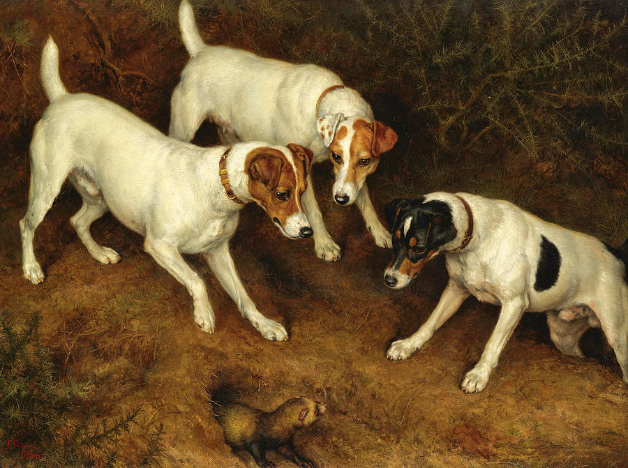 Not At Home. Cracknell Olive and Jack Russell on a Ferret Painting by Frank Paton