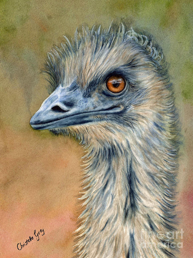 Emu Painting - Not Emused by Christelle Grey
