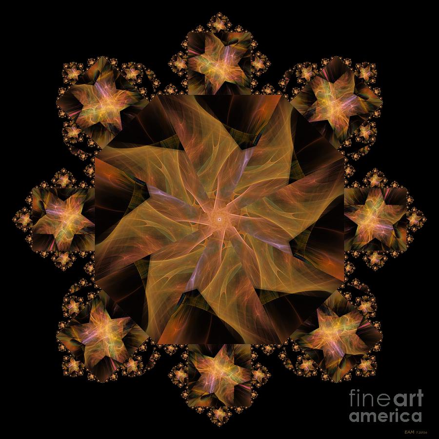 Not So Black Star / Kaleidoscope   Digital Art by Elizabeth McTaggart