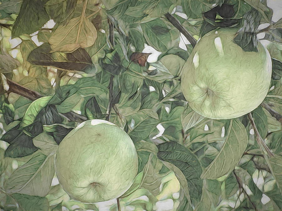Not So Little Green Apples Digital Art by Renette Coachman