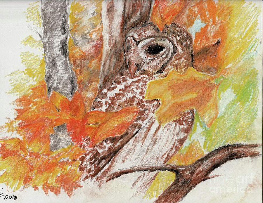 Owl Pastel - Not Who, Its Whom by Trena Guthridge