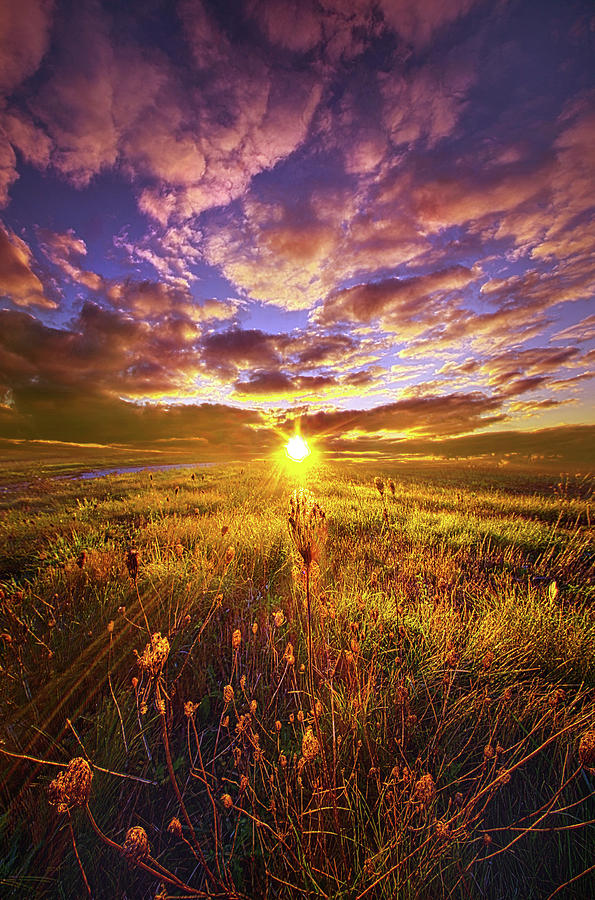 Sunset Photograph - Not Yet Vanquished by Phil Koch