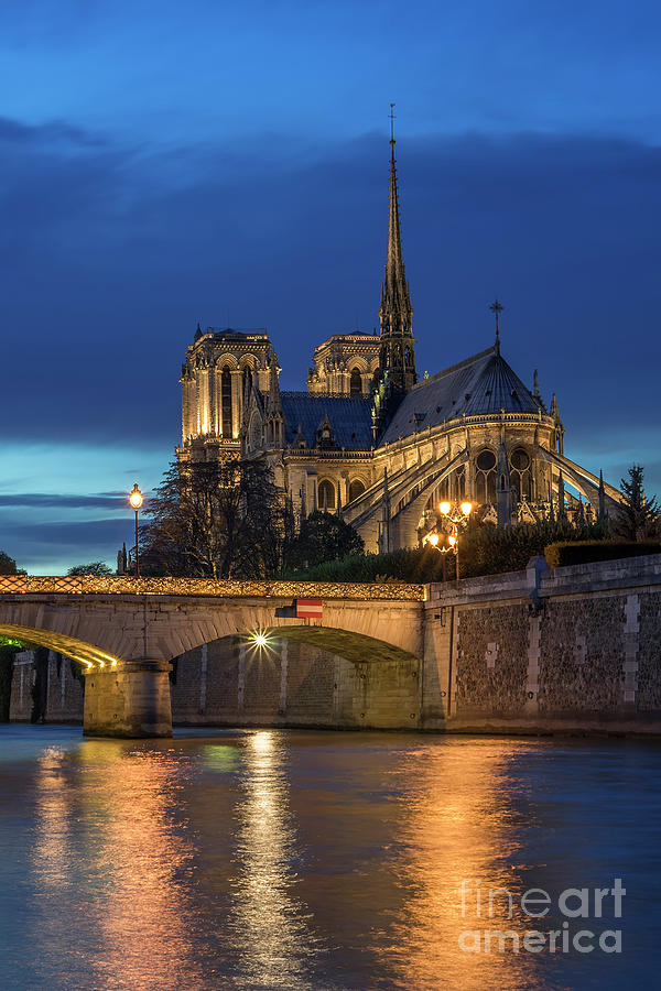 Noter Dame De Paris Cathedral Vertical Photograph