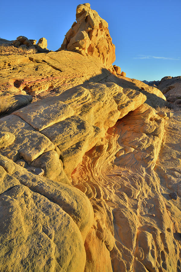 Nothing But Gold In Valley Of Fire Photograph