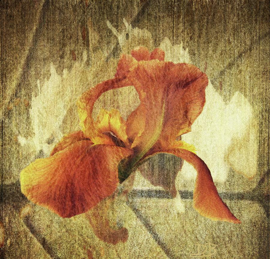 Nothing But Time by Dennis Buckman Nothing But Time by Dennis Buckman