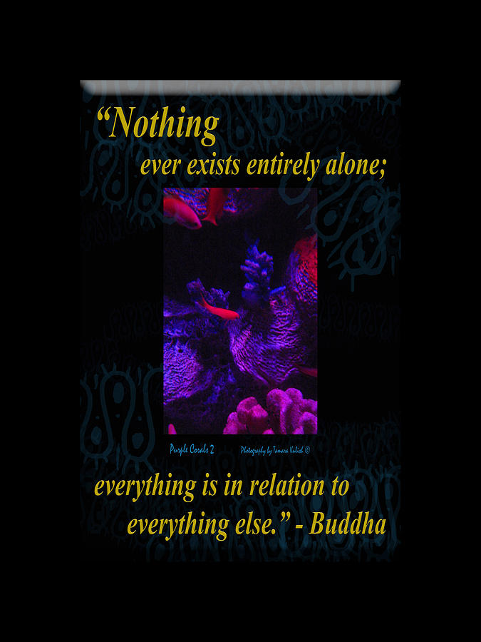 Nothing Ever Exists Entirely Alone Everything Is In Relation To Everything Else Photograph