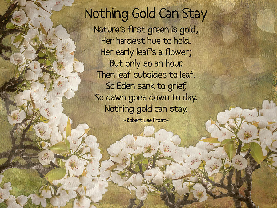 Nothing Gold Can Stay Photograph by Leslie Montgomery