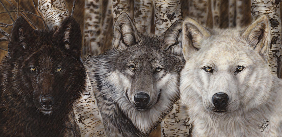 Wolves Painting - Nothing Is Ever Just Black and White by Wayne Pruse