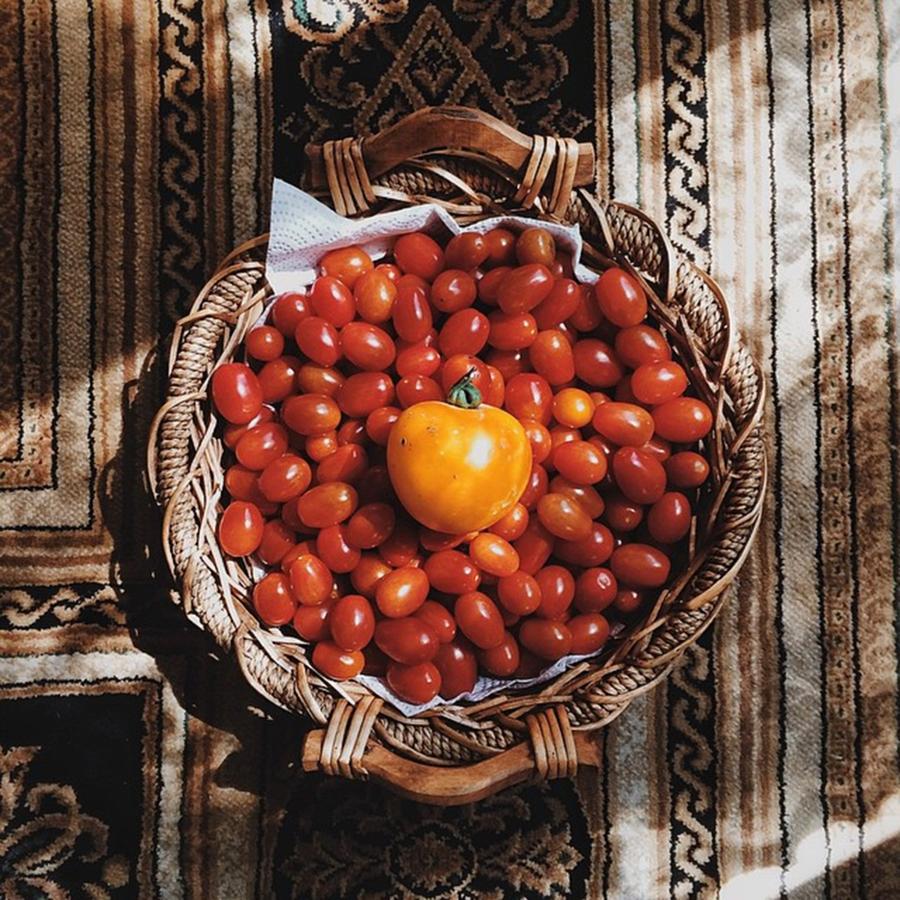Tomato Photograph - Nothing Like A Basket Of Fresh Tomatoes by Cameron Bushong