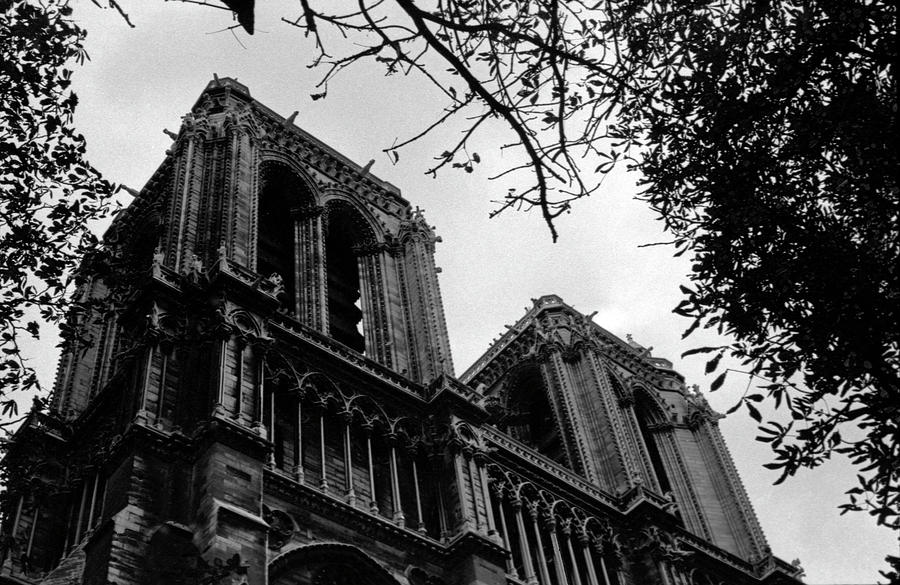 Notre Dame 1 Photograph by Lee Santa