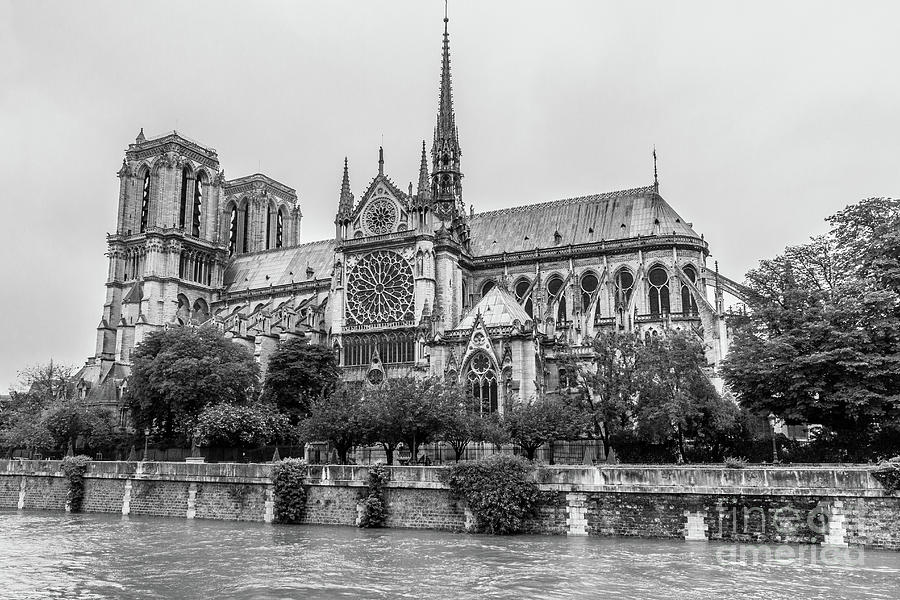 Notre Dame At Flooded Seine River, Blk Wht Photograph by Liesl Walsh