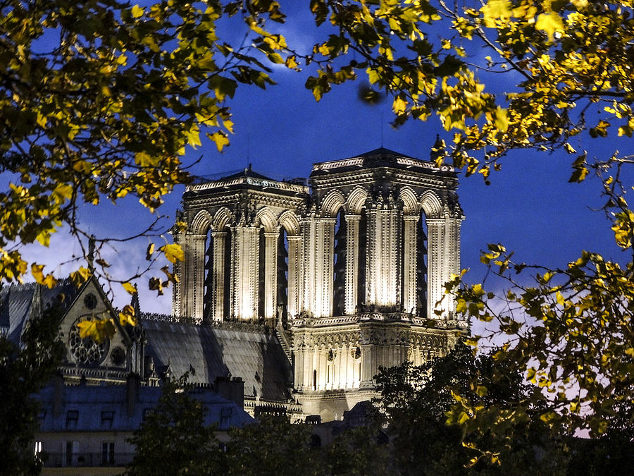 Notre Dame at Night Paris Photograph by Sally Ross