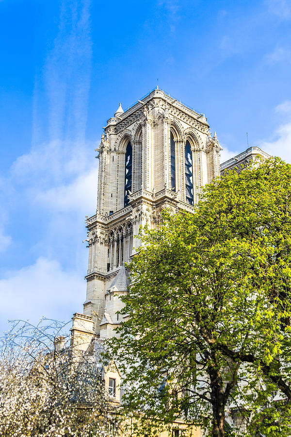 Architecture Photograph - Notre Dame Bell Tower by Nila Newsom