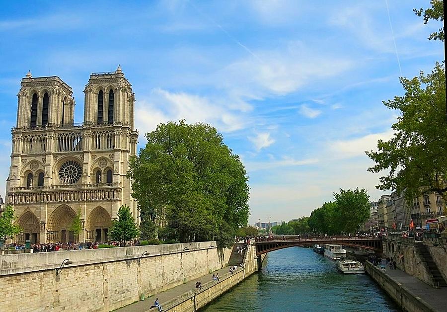 Notre Dame Beside the Seine Photograph by Betty Buller Whitehead