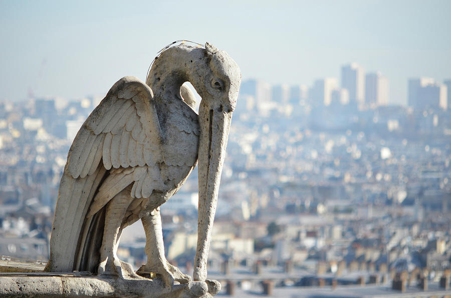 Notre Dame Cathedral Ibis Statue Standing Over Paris Rooftops Photograph by Shawn OBrien