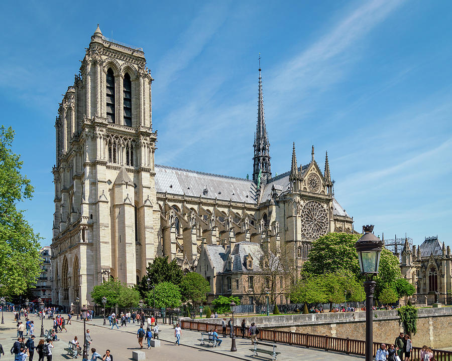 Notre Dame Cathedral Photograph by Joe Myeress