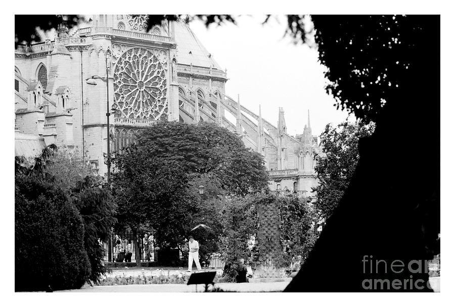Notre Dame Cathedral Photograph