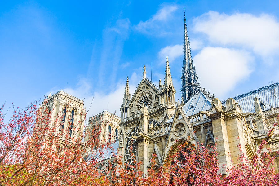 Architecture Photograph - Notre Dame Cathedral in Paris Spring by Nila Newsom