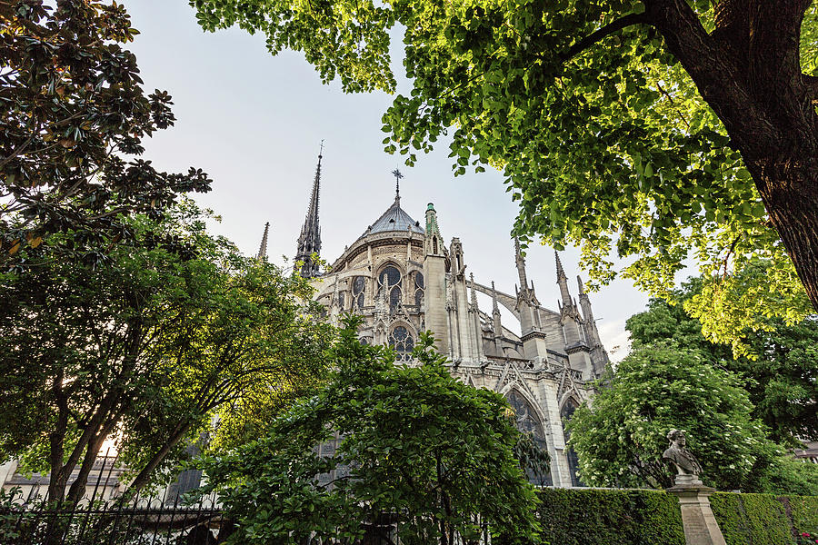 Notre Dame Cathedral - Paris, France Photograph by Melanie Alexandra Price