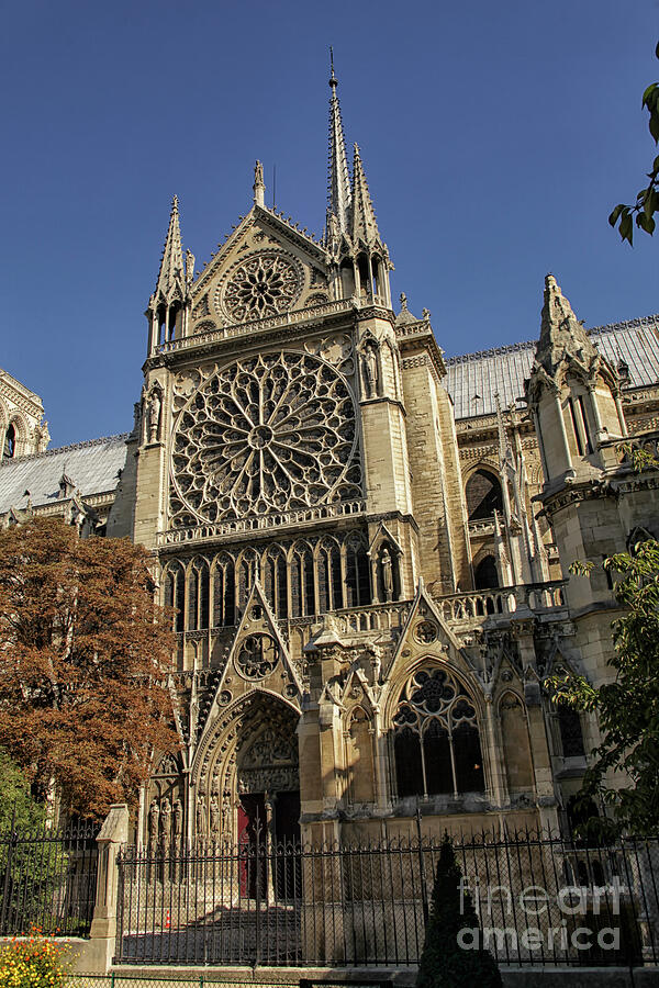 Notre Dame cathedral  Photograph by Patricia Hofmeester