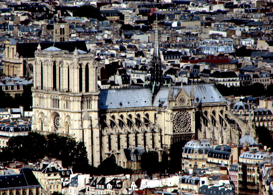Notre Dame Cathedral Photograph by T Guy Spencer