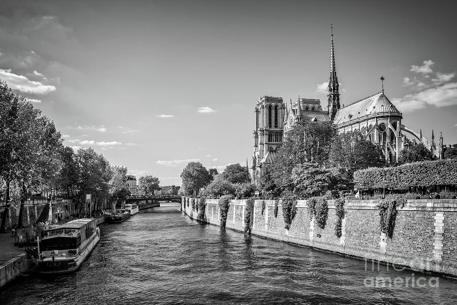 Notre Dame de Paris and the Seine river Photograph by Delphimages Paris Photography