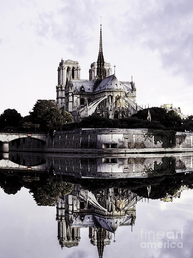 Paris Photograph - Notre Dame de Paris France  by Vicky Ceelen 