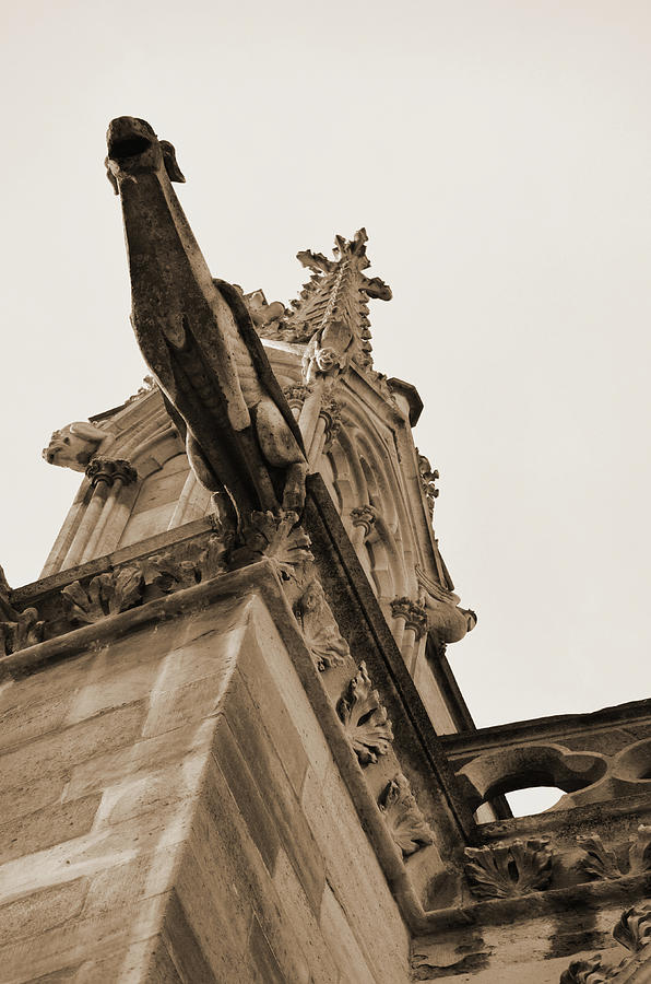 Notre Dame de Paris Gargoyle Beneath Gothic Steeple Sepia Photograph by Shawn OBrien