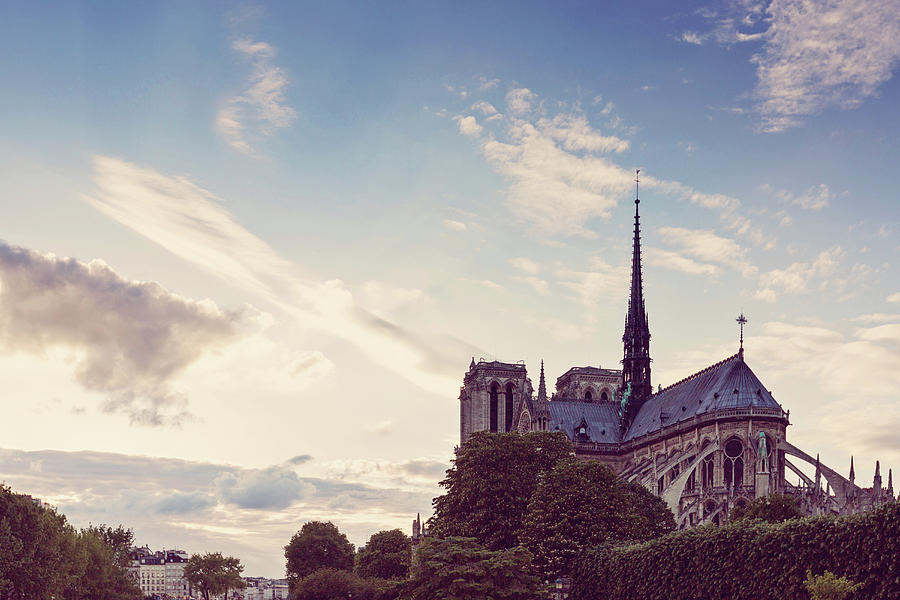 Notre Dame de Paris - Paris, France Photograph by Melanie Alexandra Price