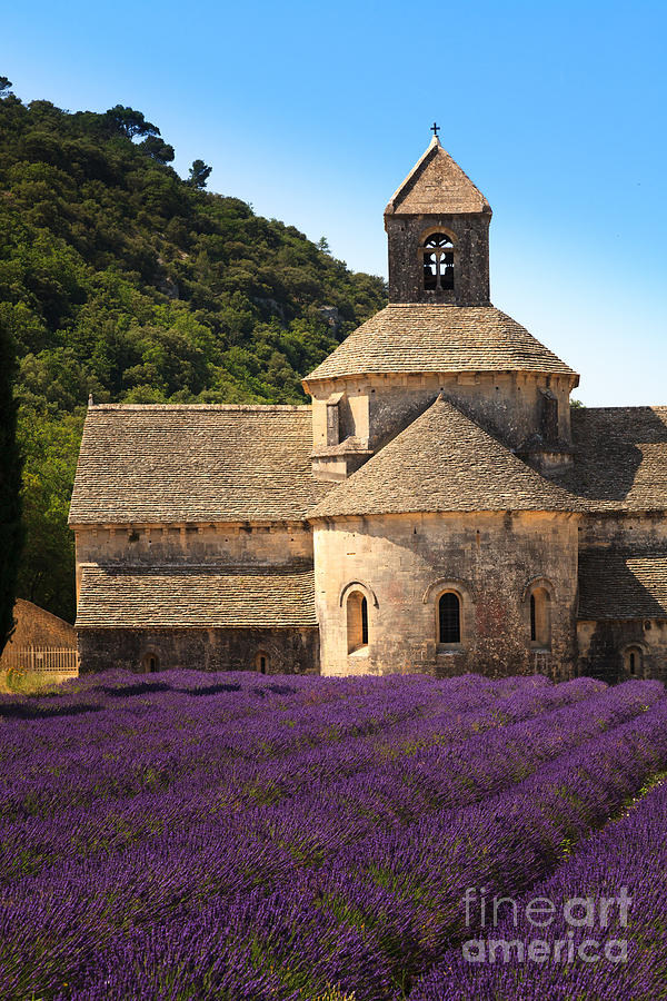 Notre-Dame de Senanque  Abbey Provence France Photograph by Peter Noyce