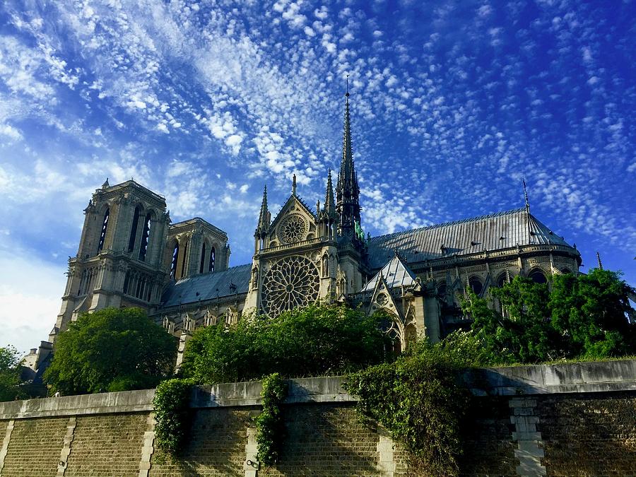 Notre Dame Photograph - Notre Dame from the Seine by Lexi Heft
