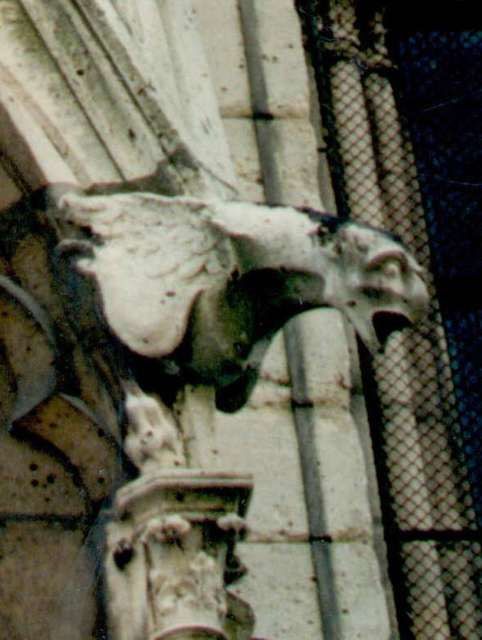 Notre Dame Gargoyle 1 Photograph by Christopher J Kirby
