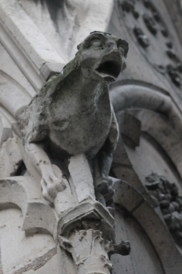 Notre Dame Gargoyle Grotesque Photograph by Christopher J Kirby